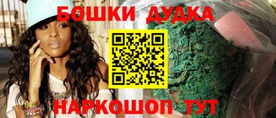 МДПВ Будённовск
